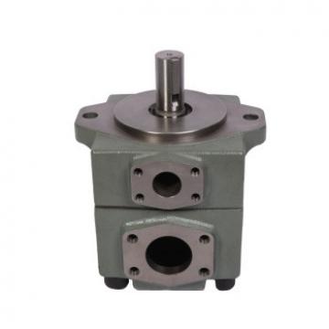 Blince PV2r Vane Pump with Low Noise Use for Injection Moulding Machine