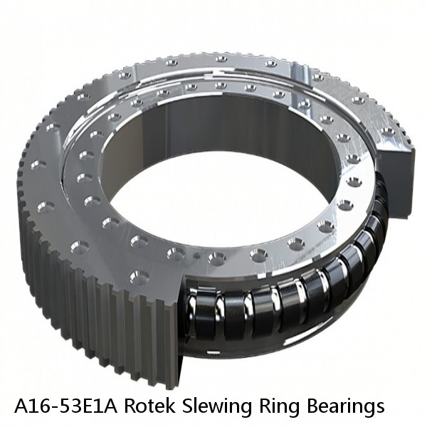 A16-53E1A Rotek Slewing Ring Bearings #1 small image