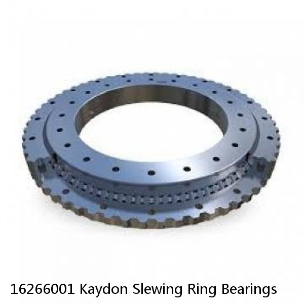 16266001 Kaydon Slewing Ring Bearings #1 small image