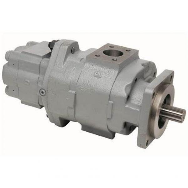 Hydraulic Bent Axis Motor A2FM63/61W-VTD027-S From Ningbo #1 image