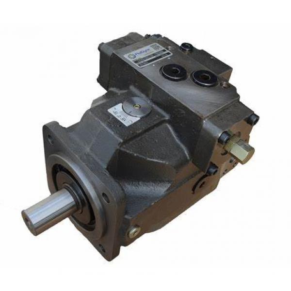 Hydraulic Axial Piston Pump A11VO Series A11VO95 A11VO130 A11VO75 Rexroth A11VO145 A11VO260 A11VO190 #1 image