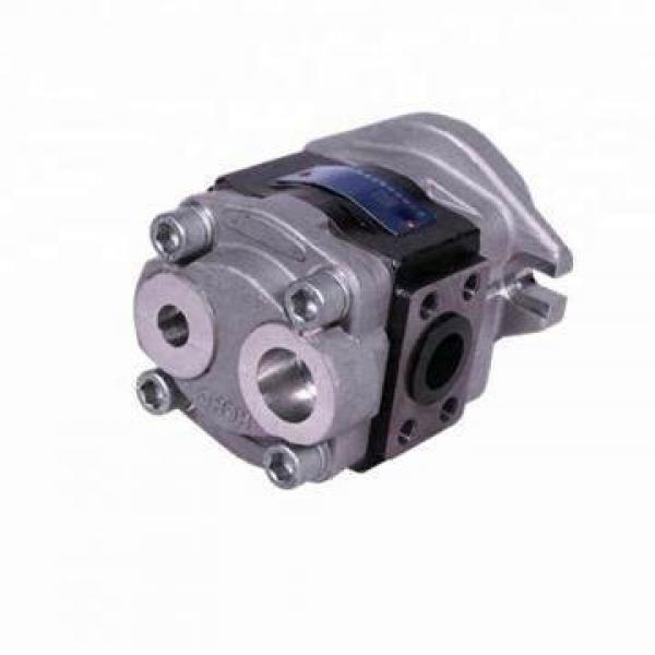 China Manufacturer Rexroth A4vg A4vg28 A4vg40 A4vg56 A4vg71 Hydraulic Pump and Repair Kits Rexroth Pump #1 image