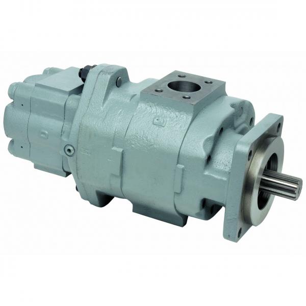 Bosch rexroth a2f a2fo a2fm a2fe a2fe45 a2fo12 a2fm32 a2fm45 a2fm80 a2fm180 a2fm200 axial piston hydraulic pump and motor #1 image