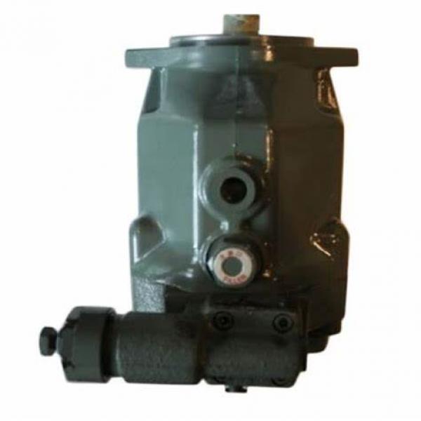 Spare Parts for Sauer PV20 PV21 PV22 PV23 Hydraulic Piston Pumps #1 image
