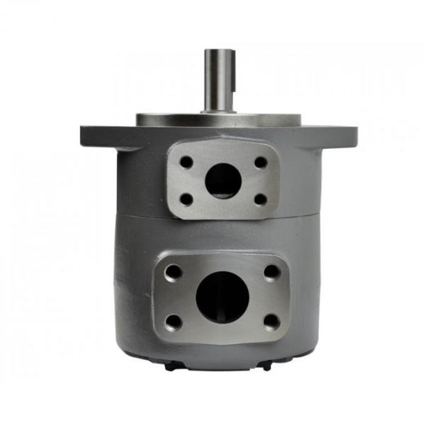 PV2r Hydraulic Vane Pump Price #1 image