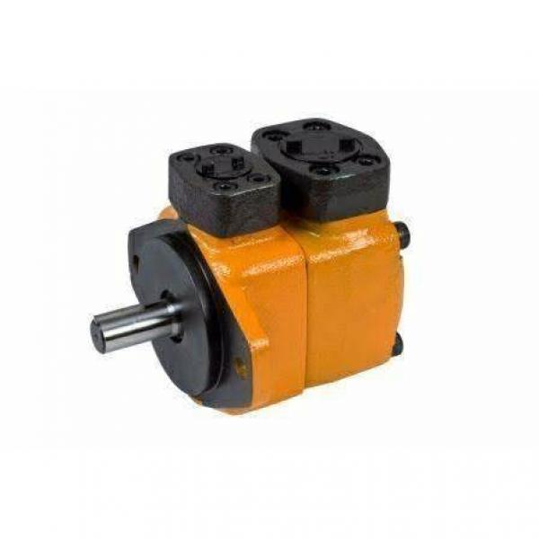 China Hydraulic PVS Piston Pump Cheap Price for Industrial Machinery PVS-2B-45-0-12 #1 image