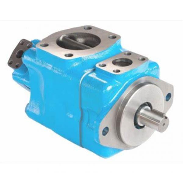 Replacement Hydraulic Piston Pump Complete Pump Vickers Pve19, Pve21 #1 image