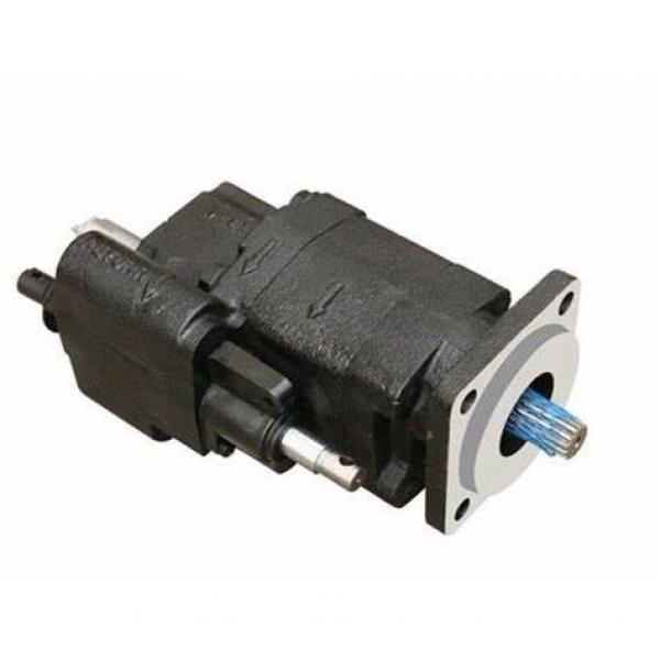 Replacement Vickers Pvh57, Pvh74, Pvh98, Pvh131, Pvh141 Hydraulic Piston Pump Parts #1 image