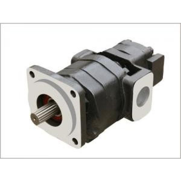Parker Commercial Intertech P350 P365 Gear Pump #1 image