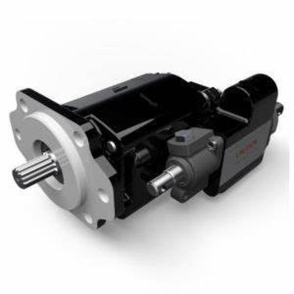 High pressure gear pumps HGP/GPY Series Hydraulic gear pumps #1 image