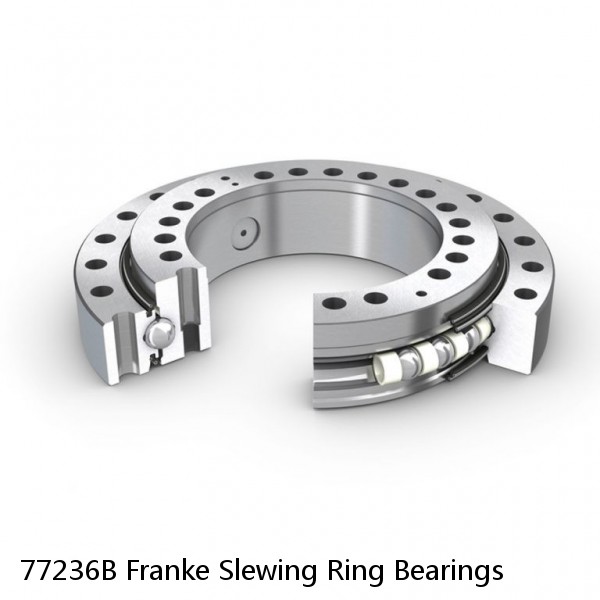 77236B Franke Slewing Ring Bearings #1 image